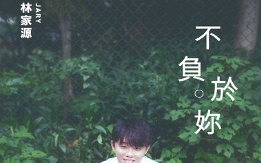 不负于你吉他谱_林家源_C调指法简单版_图片六线谱