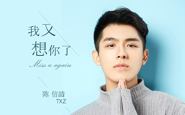 我又想你了吉他谱_陈信喆_G调指法原版弹唱谱_图片六线谱