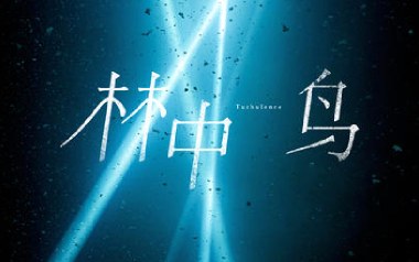 林中鸟吉他谱_葛林_C调指法扫弦版_图片六线谱