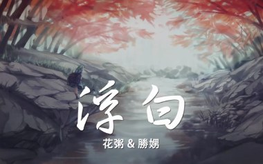 浮白吉他谱_花粥_C调指法弹唱谱_图片六线谱
