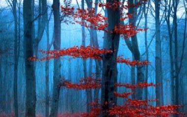 牛角弯弯吉他谱_娜海_F调指法原版弹唱谱_图片六线谱