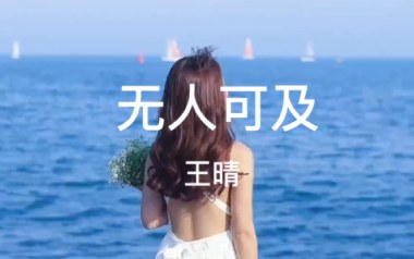 无人可及吉他谱_王晴_C调指法原版弹唱谱_图片六线谱