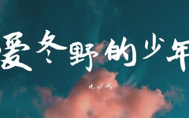 爱冬野的少年吉他谱_沈以诚_C调指法弹唱谱_图片六线谱