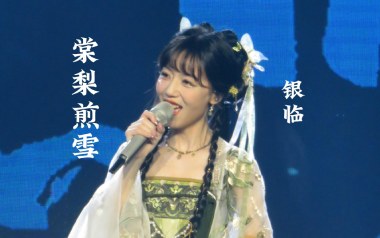 棠梨煎雪吉他谱_银临_C调指法原版弹唱谱_图片六线谱
