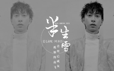 半生雪吉他谱_是七叔呢_G调指法弹唱谱_图片六线谱