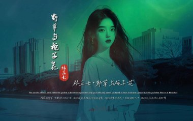 野草与栀子花吉他谱_林三七_C调指法弹唱谱_图片六线谱