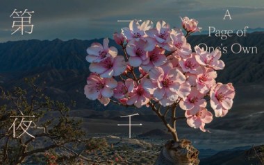 爱河吉他谱_ZaZaZsu_G调原版弹唱谱_图片六线谱