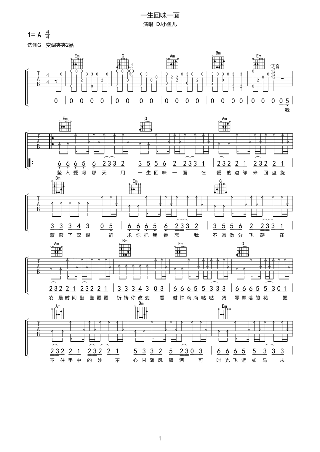 一生回味一面吉他谱1-DJ小鱼儿