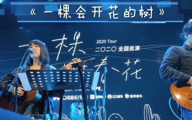 一棵会开花的树吉他谱_谢春花_C调扫弦版_图片六线谱