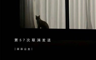 第57次取消发送吉他谱_陆绮菲(菲菲公主)_G调原版弹唱六线