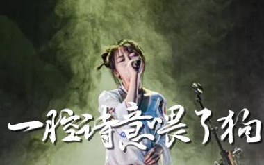 一腔诗意喂了狗吉他谱_花粥_G调指法弹唱谱_图片六线谱