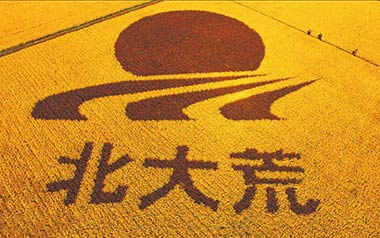 北大荒吉他谱_安来宁_G调指法弹唱谱_图片六线谱