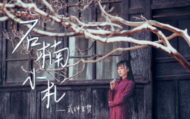 石楠小札吉他谱_贰婶_C调指法原版弹唱谱_图片六线谱