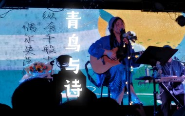 青鸟与诗吉他谱_愚青_G调指法原版弹唱谱_图片六线谱