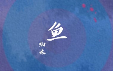 鱼吉他谱_加木_《鱼》C调指法拍弦版_图片六线谱