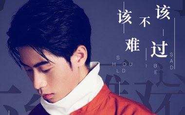 该不该难过吉他谱_王小帅_C调原版弹唱谱_图片六线谱