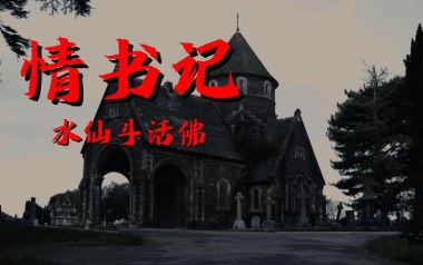 情书记吉他谱_水仙斗活佛_C调指法扫弦版_图片六线谱