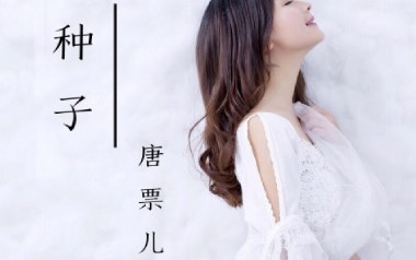 种子吉他谱_唐票儿_C调指法原版弹唱谱_图片六线谱