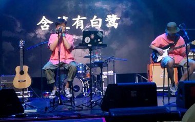 含笑有白鹭吉他谱_崔开潮_C调原版弹唱谱_图片六线谱