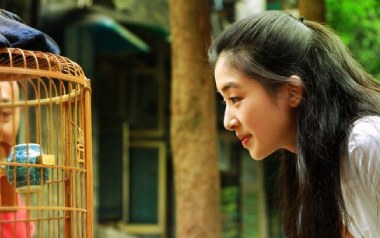 初恋未满吉他谱_张含韵/曹轩宾_F调扫弦版_图片六线谱