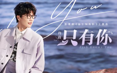 只有你吉他谱_许嵩_C调指法原版吉他谱_吉他弹唱教学