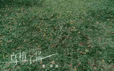 乌梅子酱吉他谱_李荣浩_G调吉他谱_乌梅子酱吉他弹唱教学