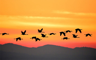 鸿雁指弹吉他谱_蒙古民歌_原版指弹谱_独奏六线谱