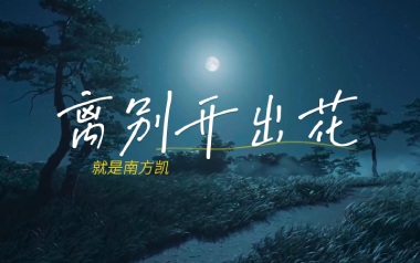 离别开出花吉他谱_就是南方凯_C调原版吉他谱_吉他弹唱教学