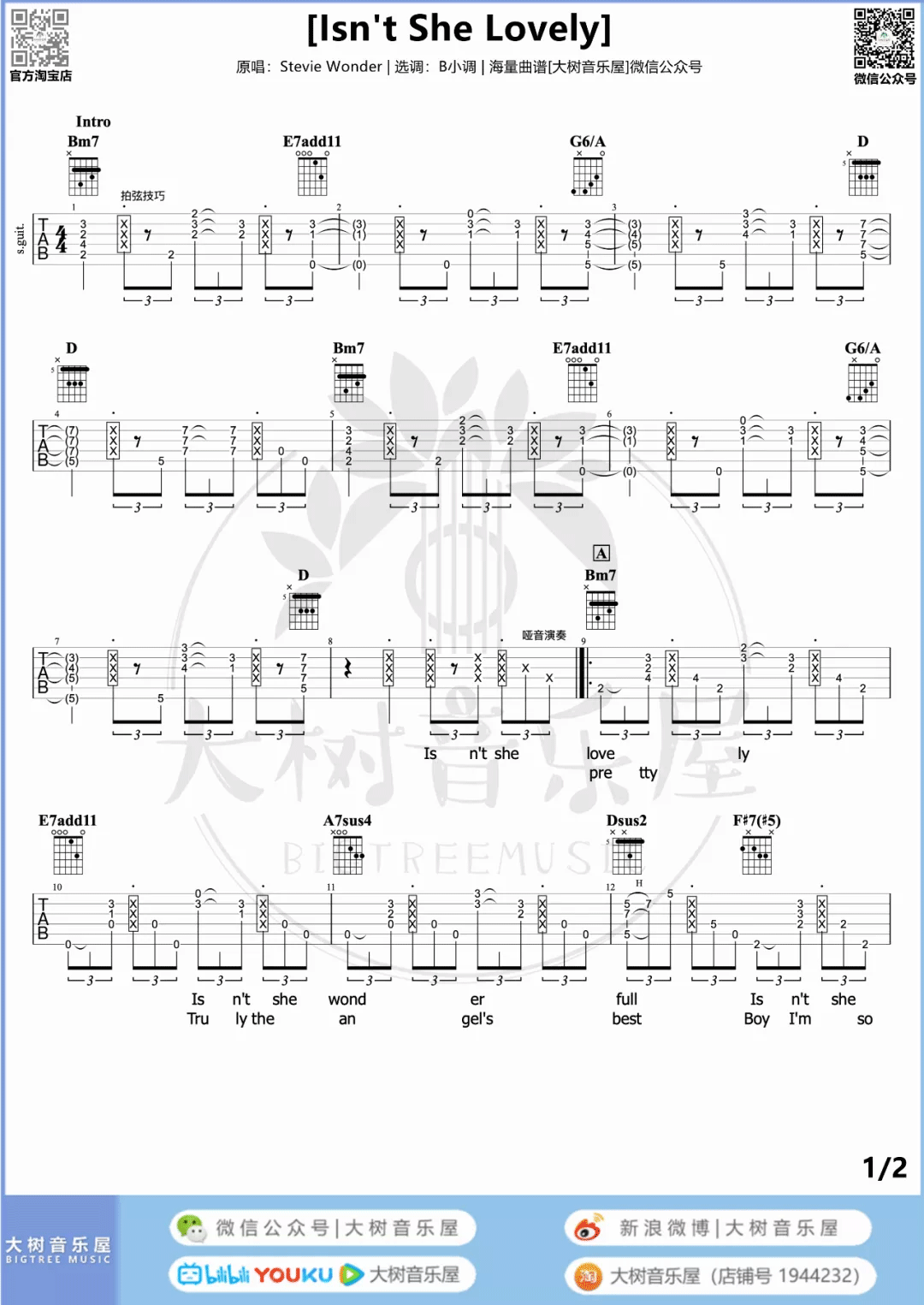 Isn't-She-Lovely吉他谱1-Stevie Wonder