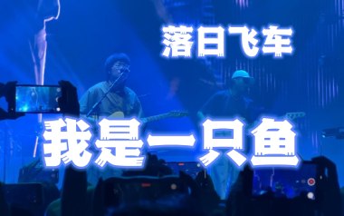 我是一只鱼吉他谱_落日飞车_D调原版吉他谱_吉他弹唱教学