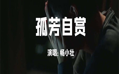 孤芳自赏吉他谱_杨小壮_G调指法原版弹唱谱_图片六线谱