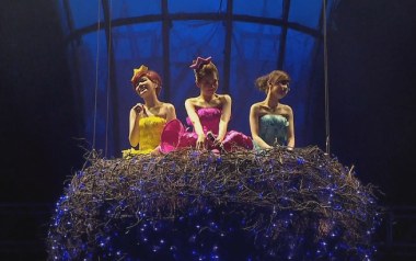 热带雨林吉他谱_S.H.E_C调指法原版吉他谱_吉他弹唱教学