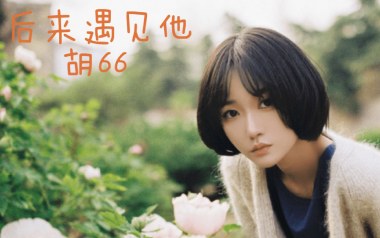 后来遇见他吉他谱_胡66_C调指法原版吉他谱_吉他弹唱教学