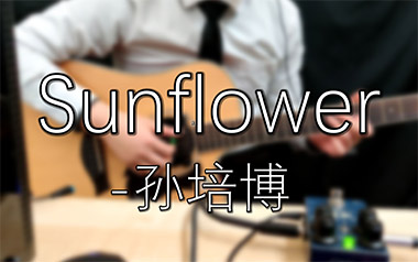 太阳花指弹吉他谱_孙培博_Sunflower原版指弹谱_独奏