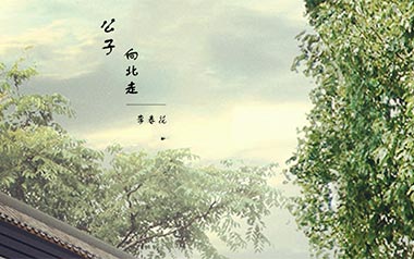 公子向北走吉他谱_李春花_G调指法简单版_图片六线谱