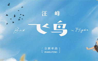 飞鸟吉他谱_汪峰_G调指法原版吉他谱_吉他弹唱教学