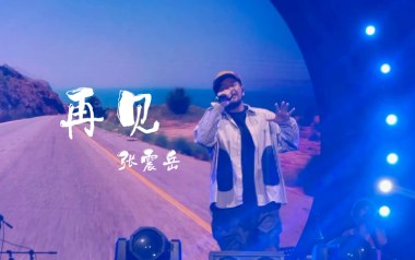 再见吉他谱_张震岳_G调指法原版吉他谱_吉他弹唱教学