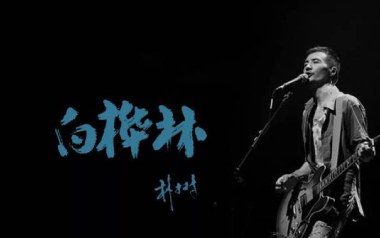 白桦林吉他谱_朴树_G调指法简单版吉他谱_吉他弹唱教学