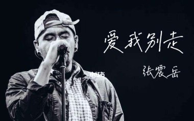 爱我别走吉他谱_张震岳_G调指法原版吉他谱_吉他弹唱教学