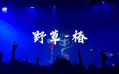 野草吉他谱_椿_C调指法原版弹唱谱_图片六线谱