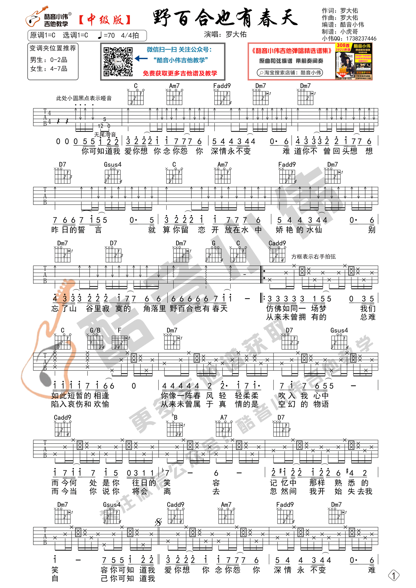 野百合也有春天吉他谱1-罗大佑