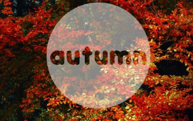 Autumn Leaves指弹谱_卢家宏_原版指弹谱_独奏六
