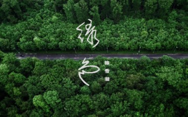 绿色指弹吉他谱_陈雪凝_简单版独奏谱_吉他指弹教学