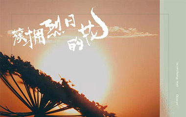 簇拥烈日的花吉他谱_迟里乌布/Morerare_C调_吉他弹唱教学