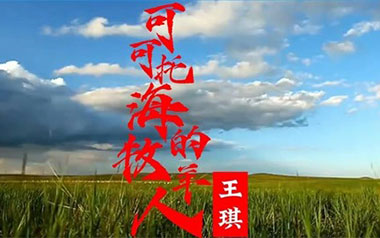 可可托海的牧羊人吉他谱_王琪_G调原版吉他谱_吉他弹唱教学