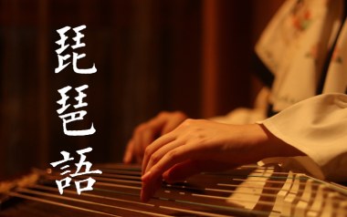 琵琶语指法吉他谱_林海_原版独奏谱_吉他指弹教学